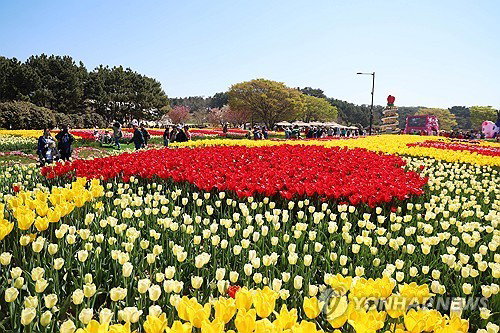 대전&middot;세종&middot;충남 맑은 날씨 속 강풍 주의보&hellip;태안 박람회 등 지역 활동 영향 주목