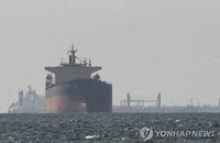 호르무즈 해협 한국 선박 피격 첩보 접수, 정부 긴급 진위 확인 착수