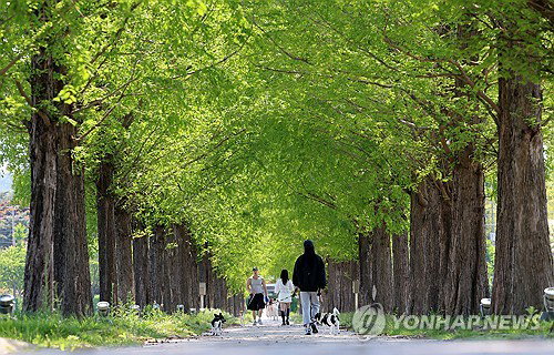 전국 낮 최고 27도 초여름 기온, 중부 5mm 비 예고...일부 지역 강풍 주의