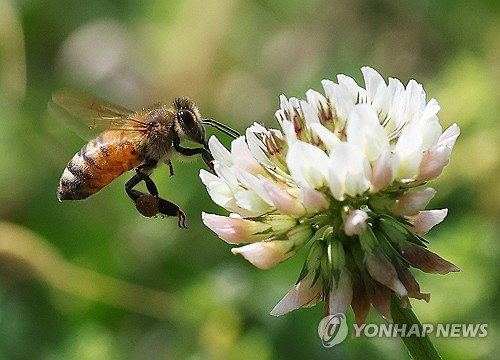 대구&middot;경북 초여름 기온 급변, 밤부터 빗방울&hellip;일교차 건강 관리 중요성 부각
