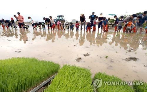 농식품부, 하절기 농촌관광시설 5500곳 대규모 안전점검 돌입&hellip;이용객 안전 및 시장 건전성 제고
