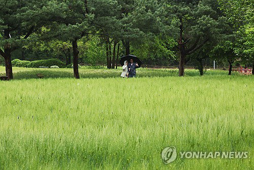 전북 지역 오후부터 비 소식, 최고 25도&hellip;짙은 안개로 교통 안전 주의보 발령