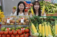 기온 상승이 바꾼 유통가 기상도... 롯데마트, 4주 빠른 '초여름 농산물' 25만 개 선제 확보