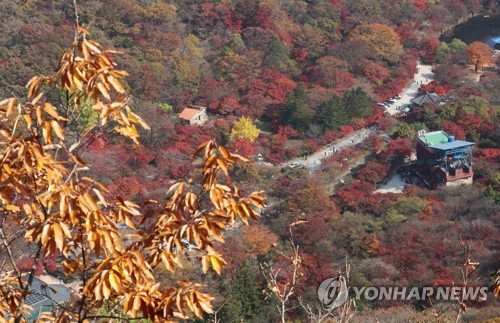 '명칭 세탁' 논란 내장산 파크골프장 허가... 국립공원 보전 체계 무력화 파문