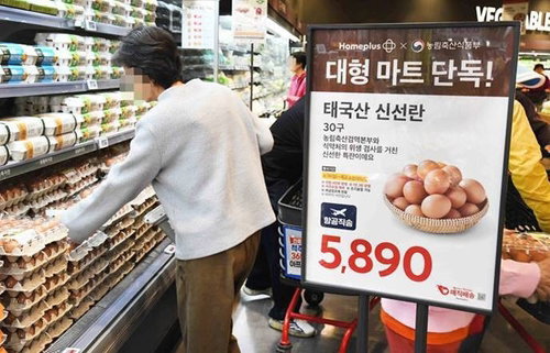8천원 돌파한 계란값에 '수입란' 오픈런... 홈플러스, 미국산 1만6천 판 긴급 수급
