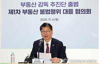 사업자 대출로 집 산 편법 투기 무더기 적발, 정부 대출금 전액 회수와 금융 제한 강행