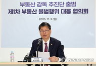 사업자 대출로 집 산 편법 투기 무더기 적발, 정부 대출금 전액 회수와 금융 제한 강행