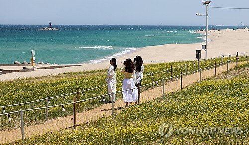 강원 내륙 낮 최고 31도 육박, 15도 안팎 극심한 일교차에 건강관리 비상
