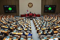 전남광주통합특별시 중대선거구 시범 도입, 경쟁률 1.77대 1로 지역구 평균 상회