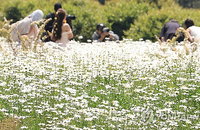 제주 전역 맑은 하늘에 낮 기온 24도 육박, 초미세먼지 '좋음' 유지하며 쾌적한 주말 예고