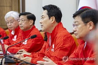 "외신 압박은 국격 훼손하는 오만한 칼춤"... 국힘, 블룸버그 항의한 정부 맹비난