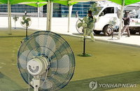 대구 33도·서울 31도 '때 이른 가마솥 더위'... 전국 일교차 15도 안팎 건강관리 비상