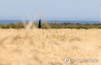 제주 낮 최고기온 26도 상회하는 초여름 날씨…10도 안팎 극심한 일교차에 건강관리 비상