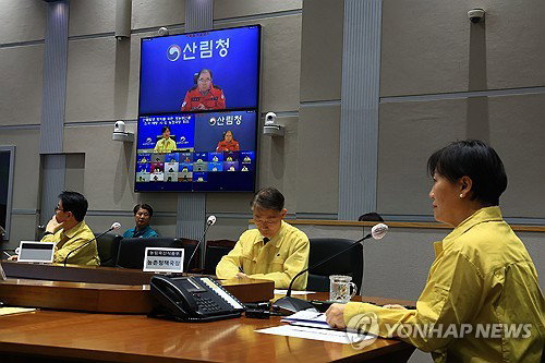범정부 협업이 만든 기적... 올해 봄철 산불 피해 면적 99% 증발했다