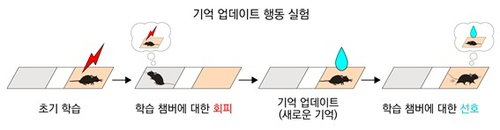 KAIST, 과거와 현재 잇는 '뇌 속 신경 스위치' 최초 규명... 치매 치료 새 지평 열어