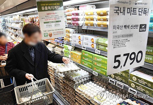 정부, 미국산 계란 224만 개 '반값 공급' 결정... 여름철 물가 폭탄 선제 차단한다