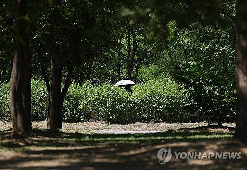 전북 내륙 낮 기온 30도 육박 초여름 무더위 기승, 극심한 일교차에 건강 관리 비상