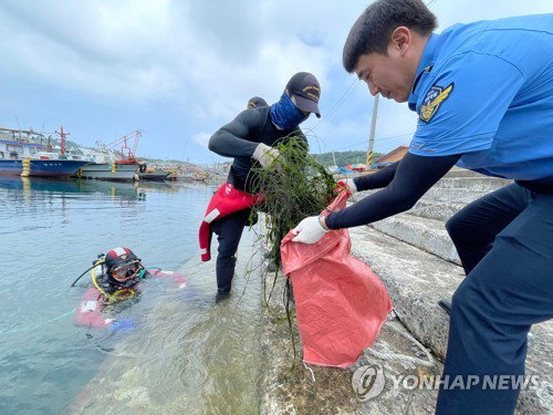 해양수산부, 제31회 바다의 날 맞아 전국 140개 체험 행사 전개&hellip;31만 명 참여