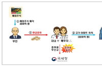 30억 아파트 '현금 완납' 뒤에 숨은 부모 찬스... 국세청, 탈루 의심 127명 정밀 타격