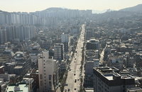 서울 중구, 다산로 일대 2.54km 녹지축 전면 재단장... 5억 2,000만 원 투입