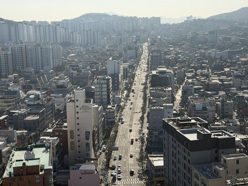 서울 중구, 다산로 일대 2.54km 녹지축 전면 재단장... 5억 2,000만 원 투입