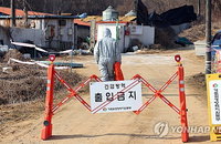 전국 7개 시도 휩쓴 ASF 24건 중 21건이 해외 변이... 혈액 사료 원료가 감염 통로 됐다