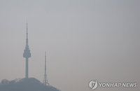 서울 남산 40대 미국인 실종 신고... 흉기 소지 및 자해 우려에 경찰·소방 긴급 수색 착수