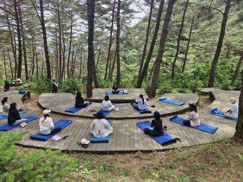 산림청, 양구 배꼽유아숲체험원서 학부모 정서 치유 프로그램 가동&hellip; 산림 복지 외연 확장