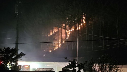 홍천 내면 자운리 야간 산불 1시간 만에 주불 진화... 장비 12대&middot;인력 45명 긴급 투입