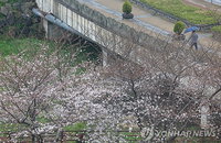 제주 산지·남부 120㎜ 폭우 예보, 초속 20m 강풍 동반한 기상 악화 비상