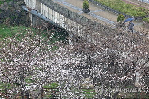 제주 산지&middot;남부 120㎜ 폭우 예보, 초속 20m 강풍 동반한 기상 악화 비상