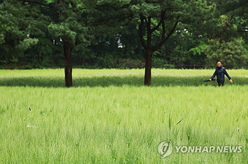 충북 전역 최대 80㎜ 집중호우 예보, 낮 최고 19도 머물며 시설물 관리 및 안전사고 예방 비상