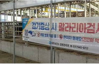 파주시, '끈끈이 현수막'과 드론 투입해 말라리아 차단... 친환경 입체 방역망 가동