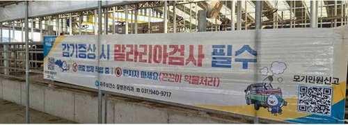 파주시, '끈끈이 현수막'과 드론 투입해 말라리아 차단... 친환경 입체 방역망 가동