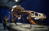 티라노사우루스 앞다리 축소의 비밀은 강력한 턱 진화와 거대 먹잇감 사냥의 산물이다