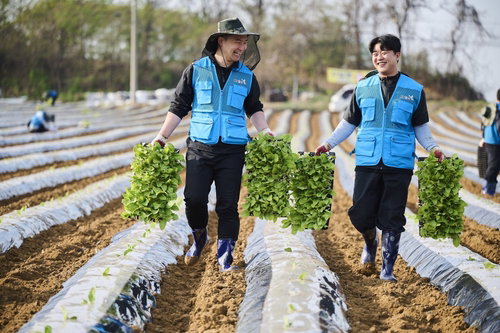 KT&G, 국산 잎담배 매입가 22억 원 인상... 총 815억 원 규모 상생 경영 실현