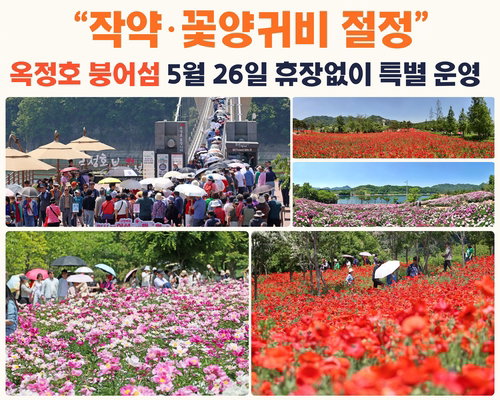 임실 옥정호 붕어섬 누적 관광객 16만 돌파... 26일 정기 휴장 없이 '봄꽃 특수' 정상 운영