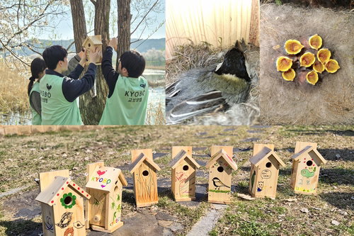 교보생명, 1.5km 메타세쿼이아 숲길 조성 추진&hellip;도심 생태계 복원과 기업 시민의 역할