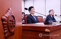 "남북은 주권 국가이나 외국 아니다" 정부, 평화적 두 국가론 공식화