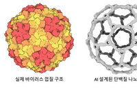 AI로 구현한 바이러스 껍질 구조... 차세대 약물 전달체 혁명 예고