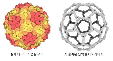 AI로 구현한 바이러스 껍질 구조... 차세대 약물 전달체 혁명 예고