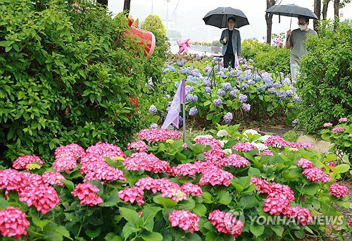 전북 전역 가끔 비 내리는 흐린 날씨 지속&hellip; 낮 최고 22도 및 서해남부 해상 파고 주의