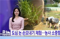 케이블TV, AI·지역밀착 보도로 공적 책무 강화… SKB 뉴스 제작량 50% 급증