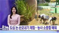 케이블TV, AI·지역밀착 보도로 공적 책무 강화… SKB 뉴스 제작량 50% 급증