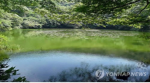 제주 물찻오름, 지자체 지정 '1호 습지보호지역' 확정... 32만㎡ 생태 보고 체계적 보존 나선다
