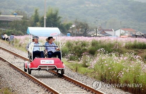 하동 레일바이크 추돌 사고 70대 사망... 중대재해법 '시민재해' 적용 수사 급물살