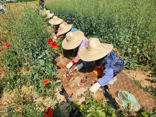 여름 휴가철 농촌 관광 '안전 무결성' 확보... 농진청, 전국 991개 사업장 전수 점검 착수